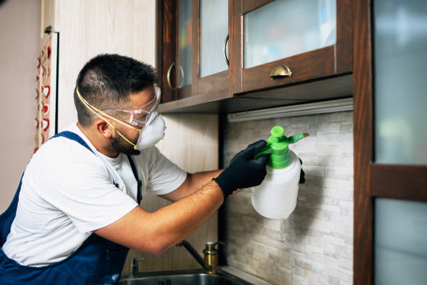 Best Pest Control Near Me  in Winfield, IL