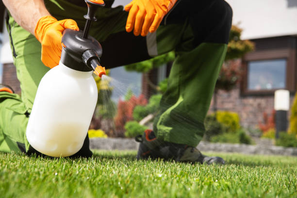 Best Wasp Removal Services  in Winfield, IL