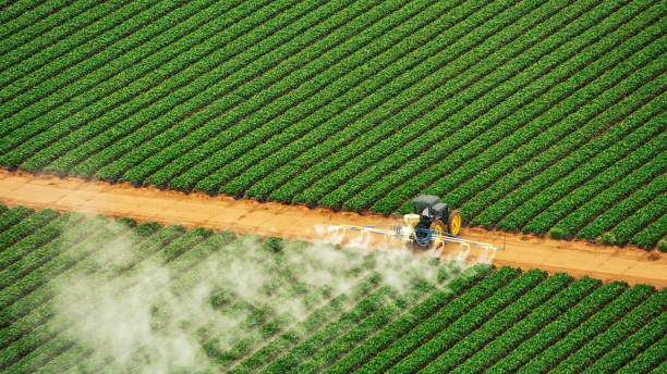 Best Pest Inspection Near Me  in Winfield, IL
