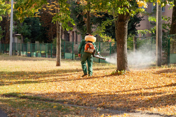 Best Pest Prevention Services  in Winfield, IL