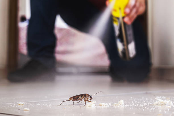 Best Mosquito Control Services  in Winfield, IL