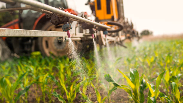 Pest Control Cost in Winfield, IL